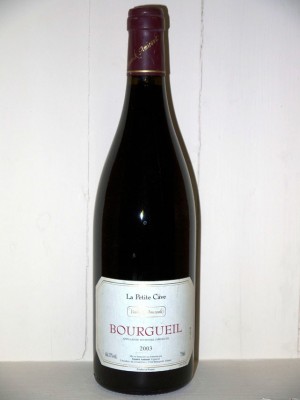 Grands vins Saint-Joseph Domaine Yannick Amirault Bourgeuil la petite cave 2003