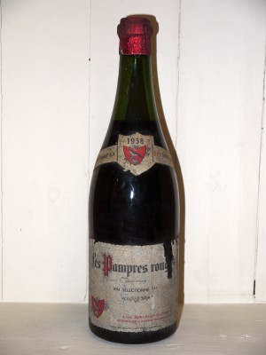 Grands vins Languedoc-Roussillon Les Pampres Rouges 1958 Léon Grivelet-Cusset