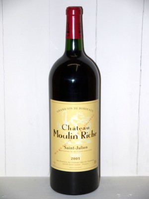 Grands crus Saint-Émilion Magnum Château Moulin Riche 2001