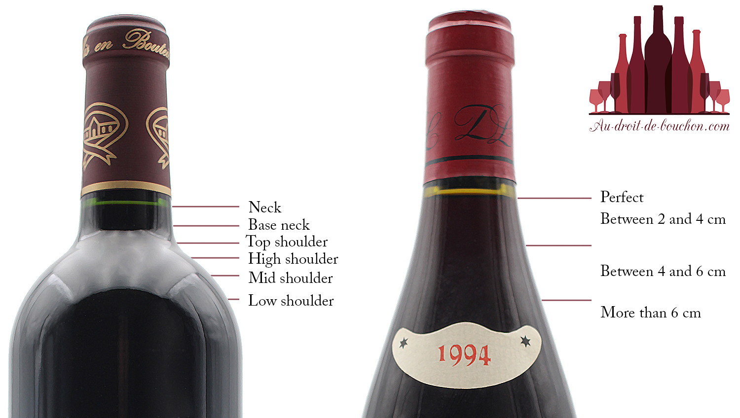 Old wines - Recognizing a vintage wine bottle